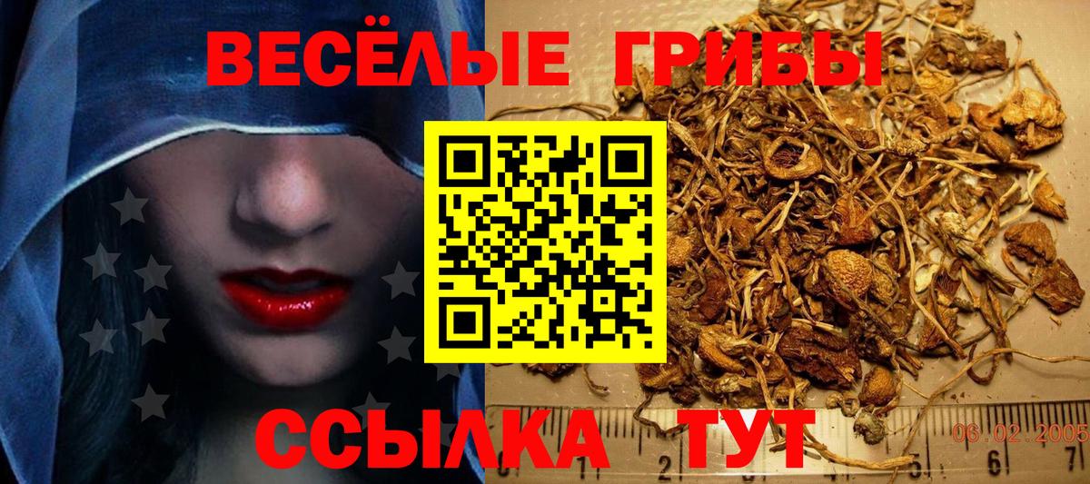 Псилоцибиновые грибы GOLDEN TEACHER Баксан