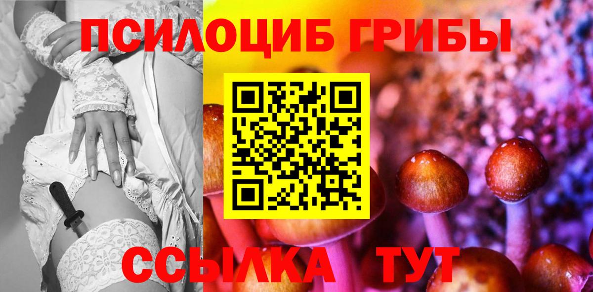 Псилоцибиновые грибы Magic Shrooms  Вход с VPN  Баксан  Псилоцибиновые грибы ЛСД 